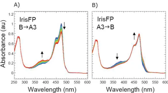 Figure  2.14) Time series of absorption spectra during photoswitching of IrisFP flash cooled  at  100 K