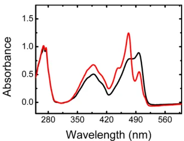 Figure  2.15)  Absorbance  spectra  of  Padron.  Initial  spectrum  of  the  crystal  flash  cooled  at  100 K  (black  solid  line)  and  after  few  seconds  of  irradiation  at  514  nm  (0.1  kW/cm²)  (red  line)