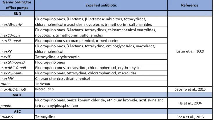Table  2.  Efflux  pumps  that  have  been  characterized  in  P.  aeruginosa  with  their  corresponding  expelled antibiotic and bibliographic reference 36,52–54 