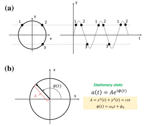 Figure I.7 – Periodic oscillations for a circular limit cycle. (a) Limit cycle and corresponding time-evolution of the variable x(t)