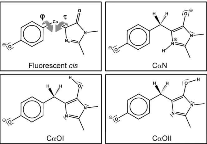 Figure  S10.  Lewis  representation  of  the  different  chemical  structures  considered  in  this work