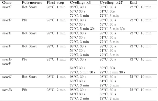 Table 5.2: Polymerase Chain Reactions for amplifications of murC, murD, murE, murF, murG, murE-murF, and mreB1 from T