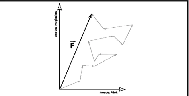 Figure 2.3-2 : Représentation dans le plan complexe du facteur de structure  F (S r )