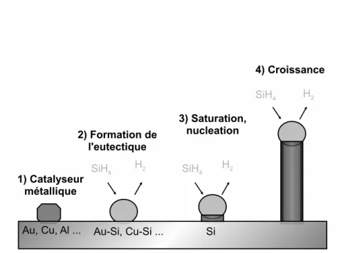 Fig. 1.7 – Schéma du mécanisme de croissance de nanofils de silicium par CVD avec un mode VLS.