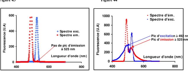 Figure  43    Spectres  d’excitation  (courbes  bleues)  et  spectres  d’émission  (courbes  rouges)  de  la  sonde  8- 8-oxodGuo Fluo avant ajout de Fpg  