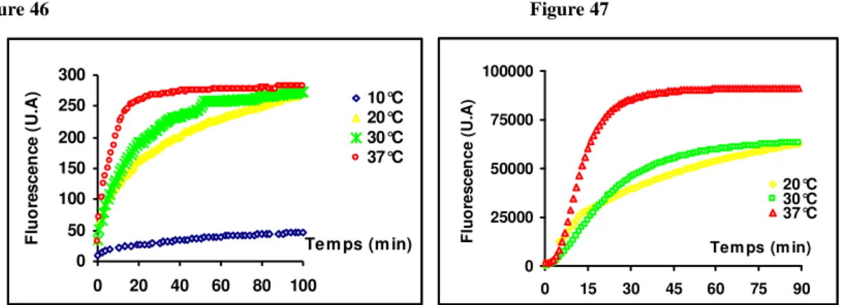 Figure 46: Influence de la température sur l’incubation de 8oxodGuo Fluo (200 nM) avec Fpg (165nM) (LS  50B) 