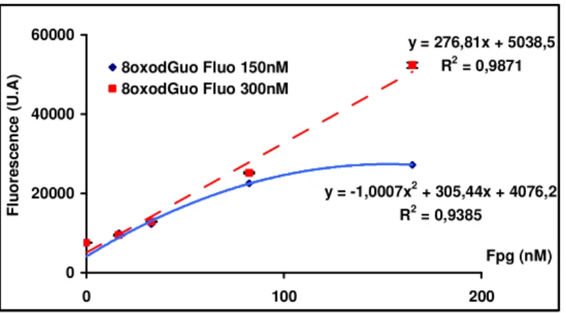 Figure 49: Post-marquage et analyse EGPA de la cinétique de digestion de 8-oxodGuo Fluo 100 nM par Fpg  