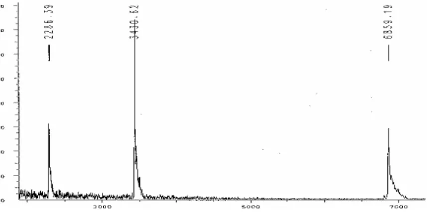 Figure 24:A Spectre de masse MALDI-ToF de l’oligonucléotide linéaire 5’FluodGuo en mode négatif 
