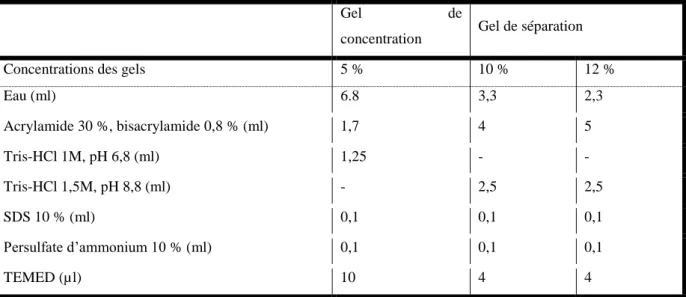 Tableau 3 : Composition des gels d’acrylamide 