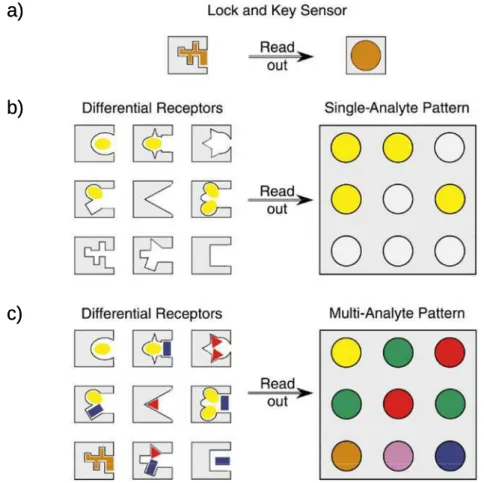 Figure 1.8. Schematic representation of host-guest interactions.  a) A specific binding event (lock-to-key  paradigm) which exhibits a large degree of complementarity between the host and the guest