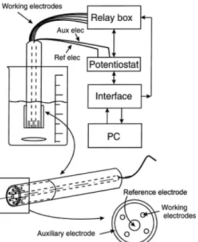 Figure 1.20. Common configuration of a voltammetric e-tongue with four working electrodes