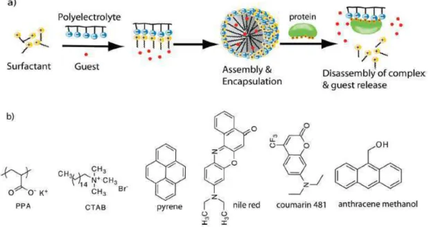 Figure 1.35. a) PPE-based protein sensor array. b) Chemical structures of PPE polymers used in the  study
