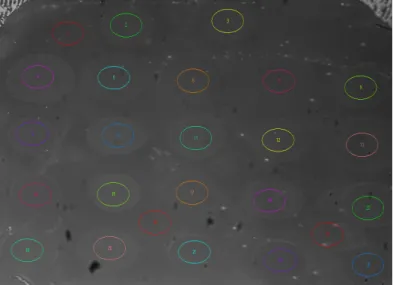Figure 2.15. An example of defined masks on a CoCRR array surface using circles with same diameter