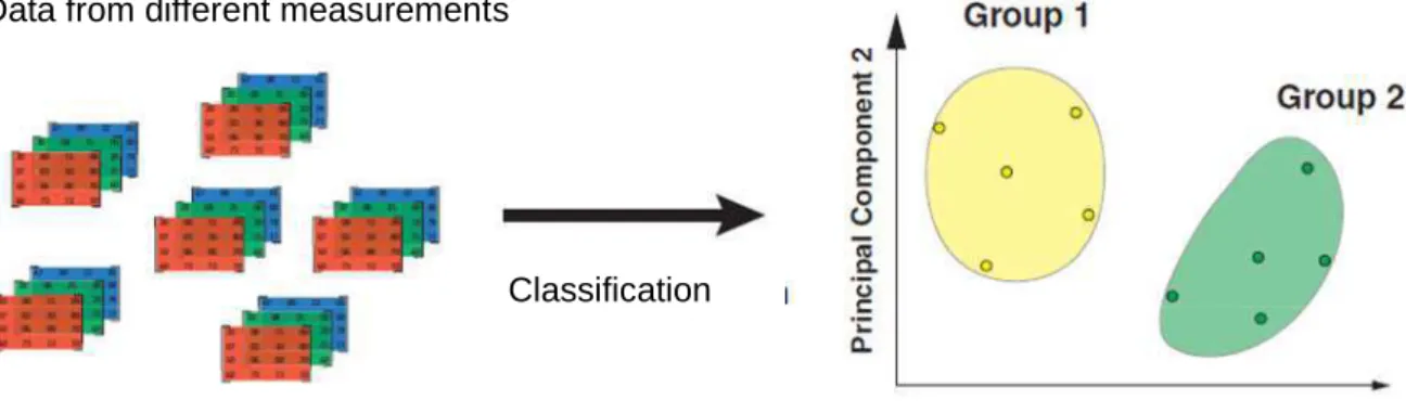 Figure 2.18. Classification of samples by PCA. Figure adapted from reference [26].