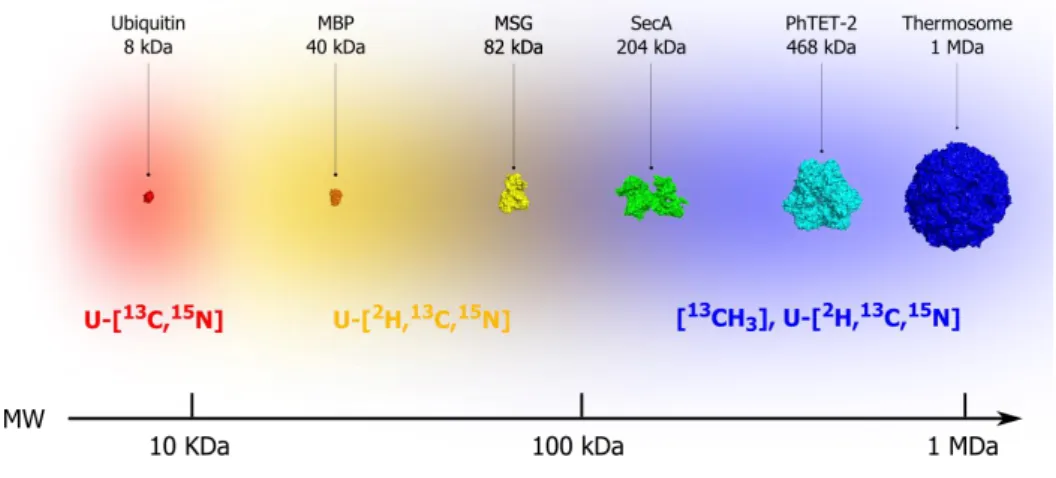 Figure 1.1: Evolution of the size of biological systems studied by solution NMR vs isotopic labeling