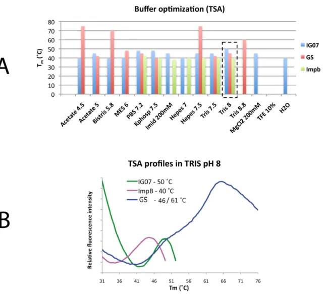 Figure  2.12:  Thermal  shift  analysis  Buffer  optimization  screening  of  IG07,  GS  and  Impβ .  A)  Melting  temperatures (T m ) of template, target and chimeric proteins (GS, Impβ, IG07) are shown in different buffers,  keeping  the  NaCl  concentra