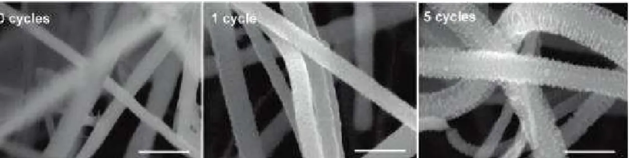 Figure I- 28: Images  MEB  de nanofils de silicium cyclé avec du lithium pour obtenir des nanofils de  silicium poreux 245