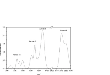 Figure 3.5: Typical protein infrared spectrum with assignment of the amide bands [90]