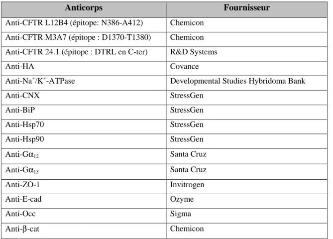 Tableau M5 : liste des différents anticorps utilisés pour l’étude et de leurs fournisseurs