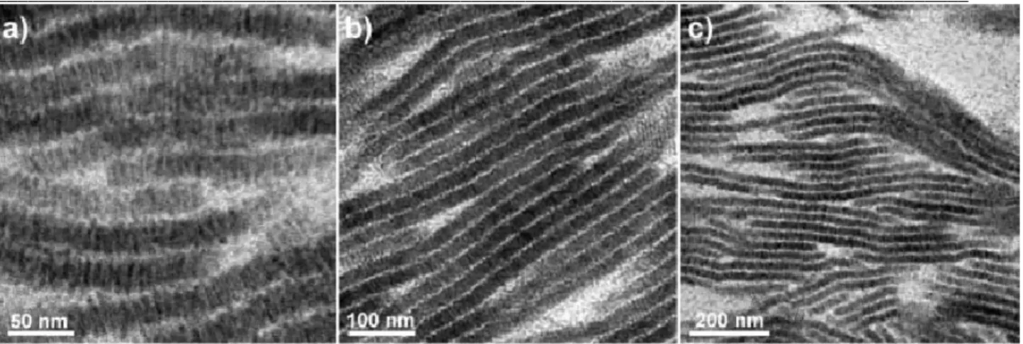 Figure I-30: Images MET à trois grandissements différents de structures smectiques, formées  à partir de NRs de CdSe 5x20nm  [12] 