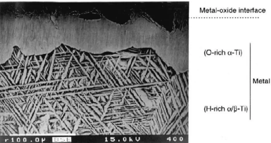 Figure 13 : Observation métallographique du titane pur oxydé 50 h à 850 °C sous une pression de  20 mbar de vapeur d’eau (trempé à l’air) [67]