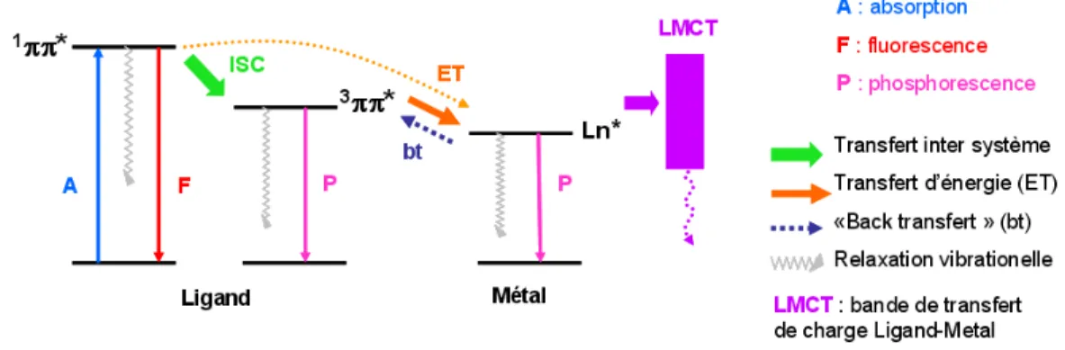Figure 5 – Sensibilisation des Ln(III) par le ligand : mécanisme impliquant l’état triplet du ligand.