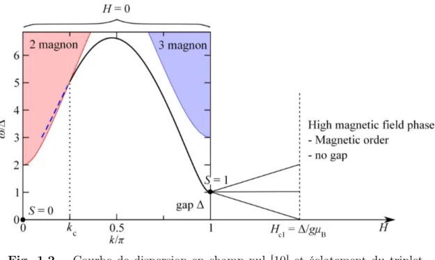 Fig. 1.2 – Courbe de dispersion en champ nul [10] et éclatement du triplet (premier état excité) sous l’application d’un champ magnétique dans une chaîne Heisenberg de spin S = 1.