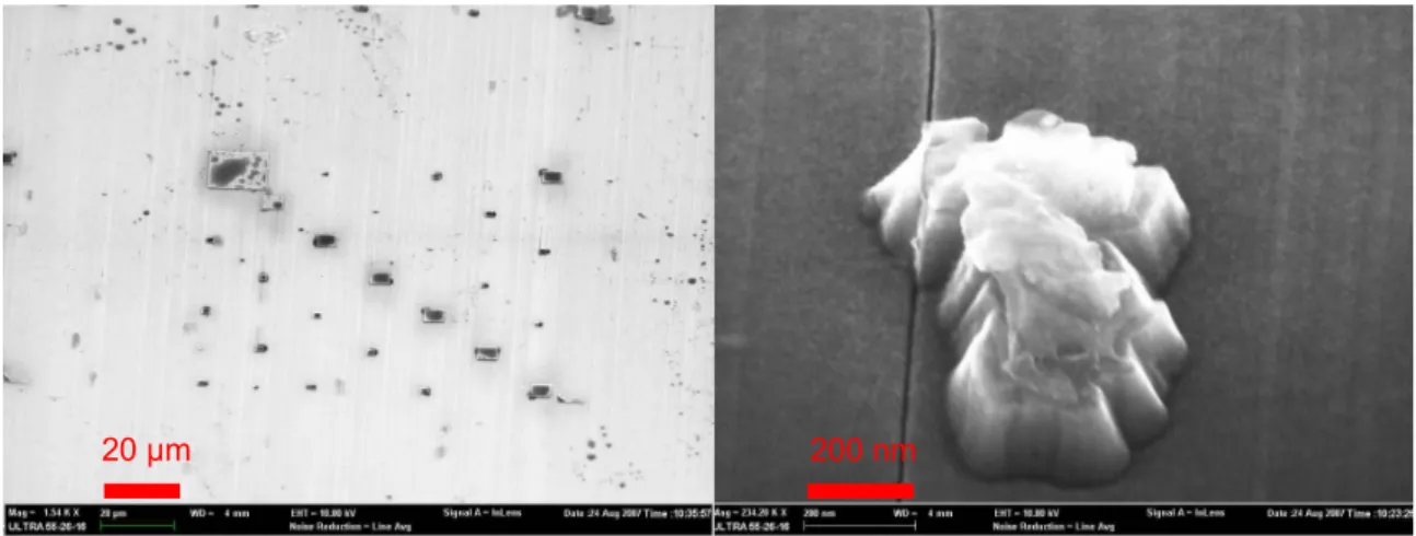 Figure 2.10: SEM images of a sample of m-plane QDs after e-beam lithography and ICP etching