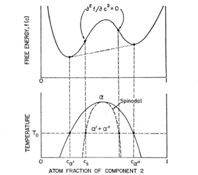 Figure 2.3: Phase diagram and free energy of a spinodal decomposition.