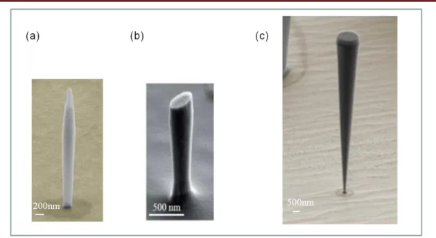 Figure  1.16:  Photonic nanowire system with different shapes, (a) Regular taper  photonic nanowire, (b) Elliptical photonic nanowire, and (c) Inverted taper based  photonic wire