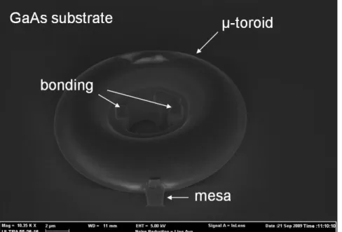 Figure  1.17:  SEM  image  of  quantum  dots  mesa  and  microtoroid  assembly  realized on the same chip by FIB manipulation