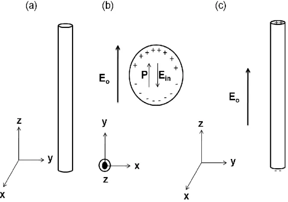 Figure  2.7:  Photonic  nanowire  in  electric  field  of  different  polarizations  (a)  Drawing  of  the  thin  dielectric  photonic  nanowire,  (b)  In  case  of  in-plane  polarization electric field, (b) In case of longitudinal polarization electric f