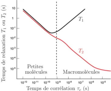 Figure 3.10 – Effet du temps de corrélation τ c sur la relaxation du proton amide.
