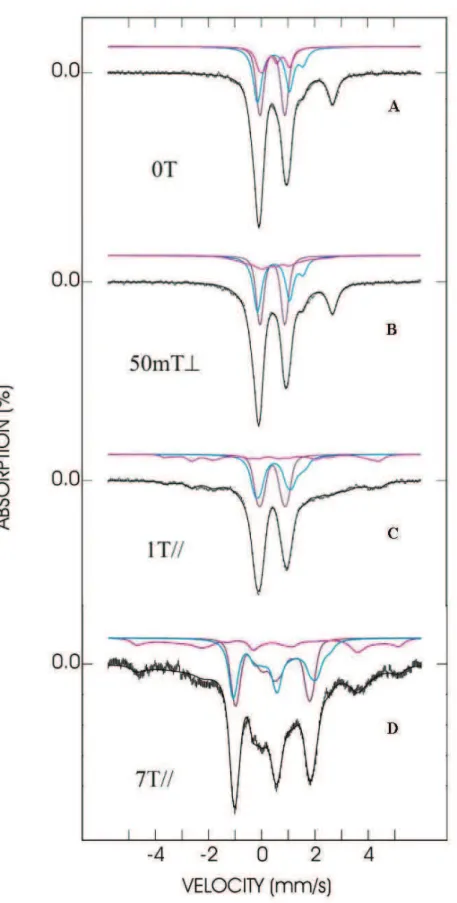 Figure  I-5-3-2 :  Holo-RimO  après  reconstitution  in  vitro  des  centres  [4Fe-4S] 2+ et  ajout  de  SAM.