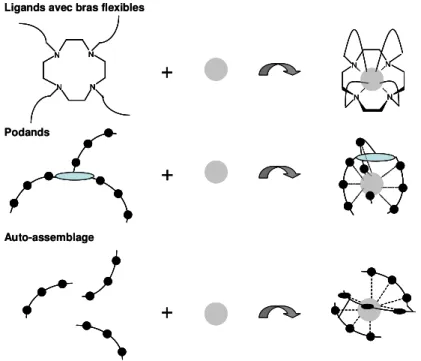Figure 1.5 : Représentation schématique de ligands flexibles induisant la formation d’une cavité