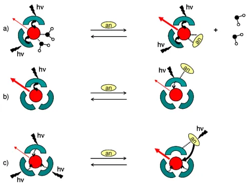 Figure 1.10 : Modulation de la luminescence des Ln(III) par l’association réversible à une espèce à  analyser (an) : (a) influence directe sur la luminescence du lanthanide, (b) influence sur les propriétés 