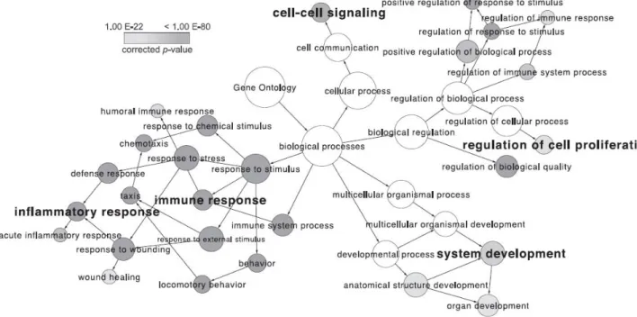 Figure 2.5 This is a gene ontology depicting the vast number of biological processes  implicated in heparin/HS interactions, and thus called the ‘interactome’