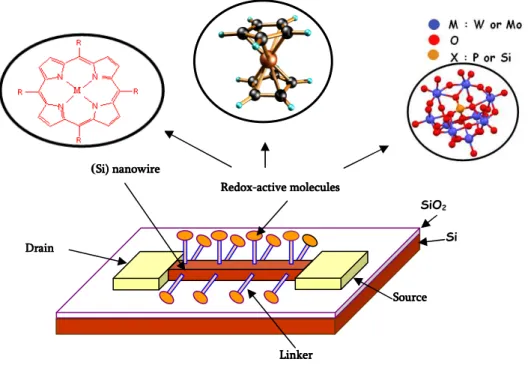 Figure 0.7 Schematic representation of the molecular hybrid Si memory 