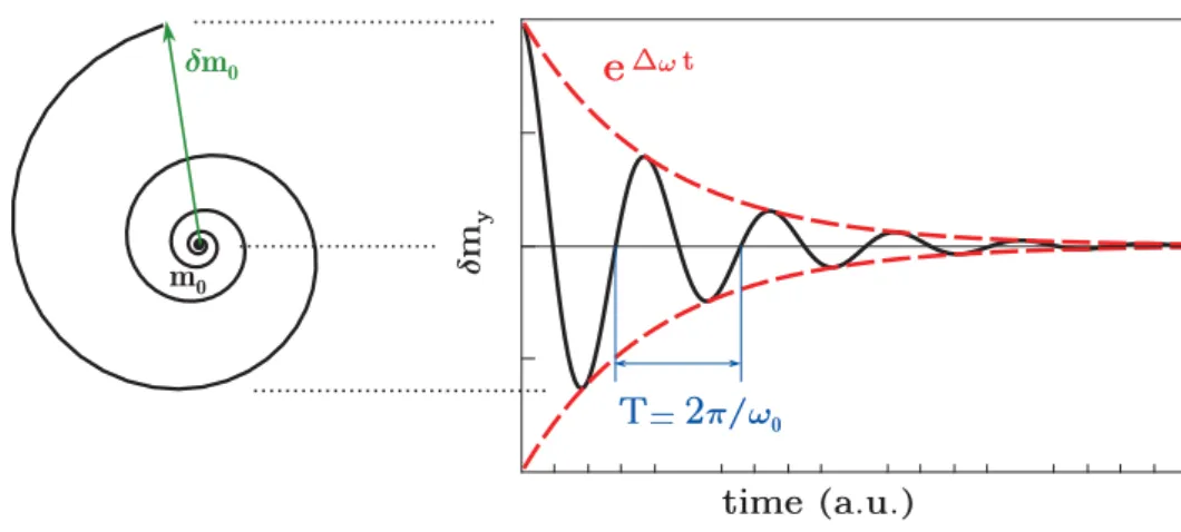 Figure 1.9 – Dynamics of a small deviation δm 0 around the equilibrium m 0 in a case where ∆ω &lt; 0.