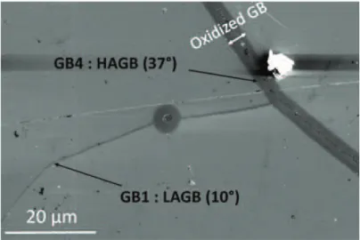 Fig. 4 TEM analyses performed on GB3 after thermal treatment at 500 °C for 30 h in secondary vacuum: a TEM bright ﬁ eld (BF) image with one of the two grains in zone axis, b EDX pro ﬁ les acquired in STEM mode in the area affected by grain boundary migrati