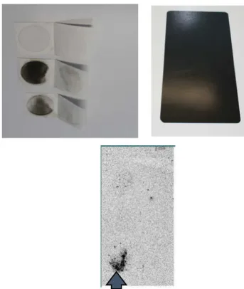 Fig 7: Graphite core deposited on a DA screen (left) and  the homogeneity of C-14 (right) 