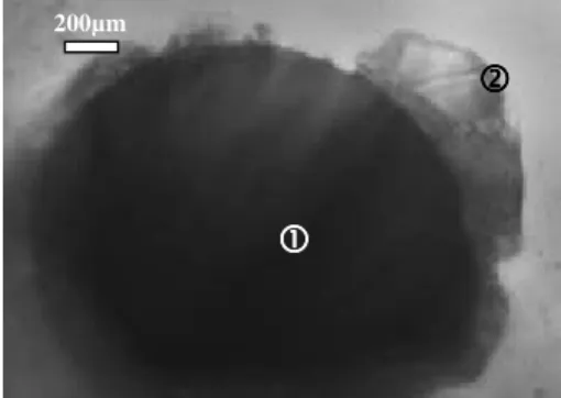 Figure 5: TEM image of Haynes 230 ®  aged for 25 hrs at 900°C - M 23 C 6  (  ) carbide next to a  primary carbide M 6 C (  ) 
