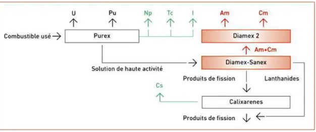 Figure I.4 : Schéma de principe du futur retraitement du combustible usagé. 
