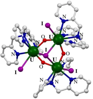 Figure I.15 : Représentation de la structure du trimère µ-oxo d’uranium tpa. Les hydrogènes ont été  omis pour des raisons de clarté