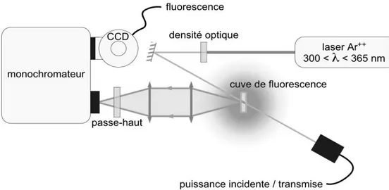 Fig. 2.1 – Schéma du dispositif expérimental pour la spectroscopie de photoluminescence.