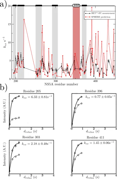 Figure 6.18: a) Solvent exchange rates for NS5A D2D3 (pH 6.5, 25 ◦ C) ob- ob-tained from fits to HET ex -BEST-TROSY experiment measured at four d relax delays (black ) compared to predicted solvent exchange rates for the same conditions by the SPHERE predi