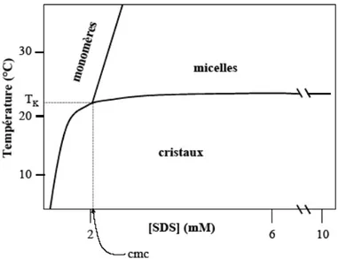 Figure 21 : Diagramme de phase du sodium dodécyl sulfate (SDS). 