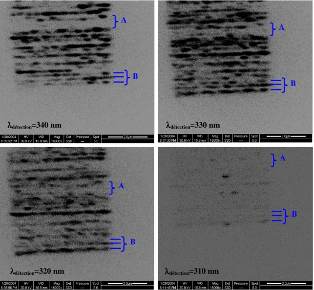 Figure  2.28  –  Cartographies  de  CL  d’une  mésa  de  5  µm  de  coté  sur  un échantillon  de  BQs  de  GaN (11-20), obtenues avec une tension d’accélération de 30 kV et filtrées à la longueur d’onde  de (a) 340 nm, (b) 330 nm, (c) 320 nm, et (d) 310 n