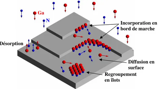 Figure 1.5 – Différents processus ayant lieu en cours de croissance à la surface de l’échantillon  