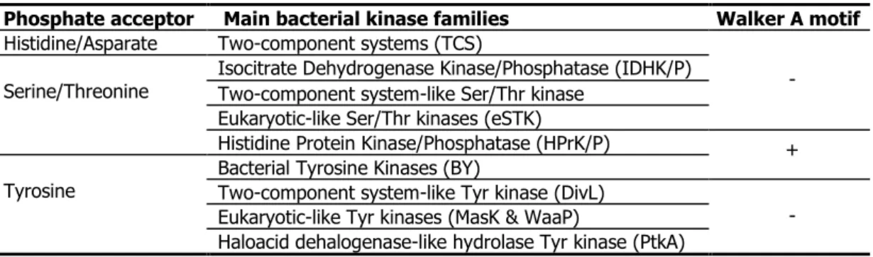 Table 3: Classification of bacterial kinases by kinase sequence &amp; phosphate acceptors 